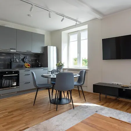 Old Town Luxury Penthouse With Emajogi View *