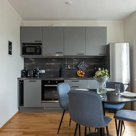 Old Town Luxury Penthouse With Emajogi View Apartment *