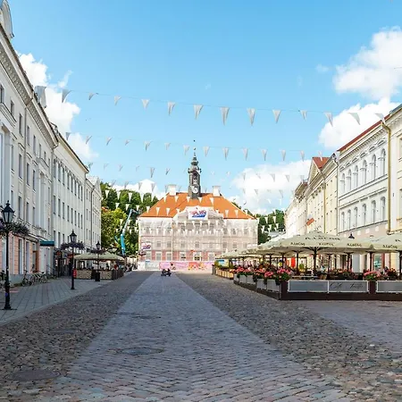 Old Town Luxury Penthouse With Emajogi View