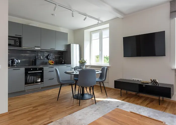 Old Town Luxury Penthouse With Emajogi View *