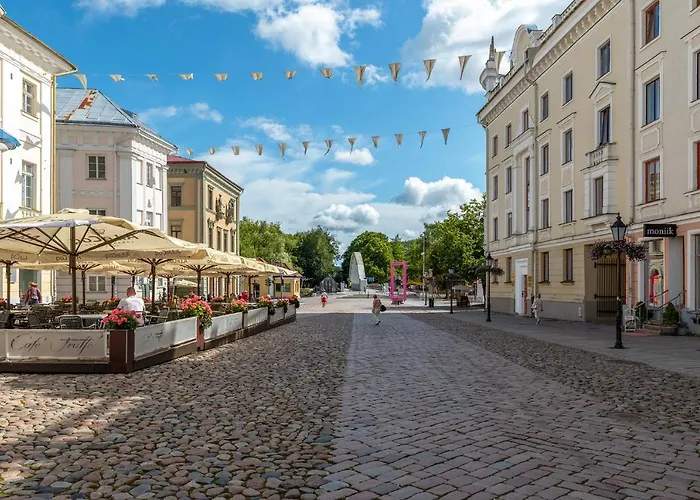 公寓 Old Town Luxury Penthouse With Emajogi View 塔尔图