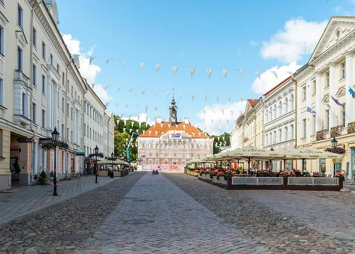 Old Town Luxury Penthouse With Emajogi View