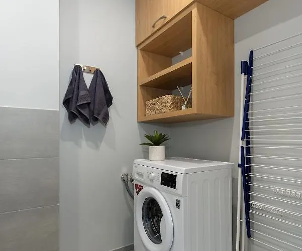 公寓 Old Town Luxury Penthouse With Emajogi View